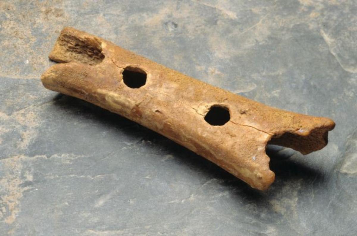 Bilinen en eski müzik aleti 50.000 yıllık Divje Babe flütü