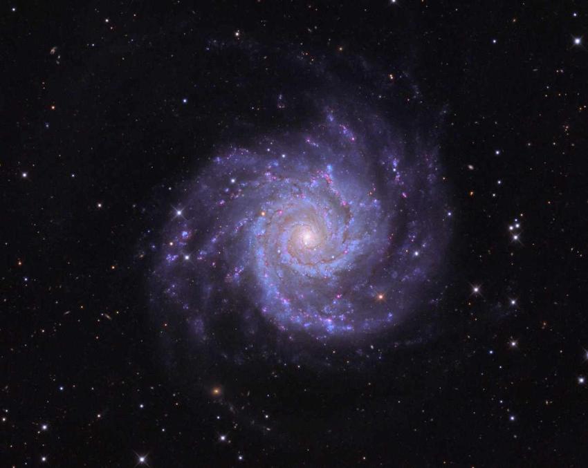 Büyük tasarım sarmal gökada M74, Hubble Teleskobu.