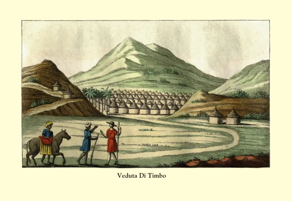 Timbo, 1820 civarı