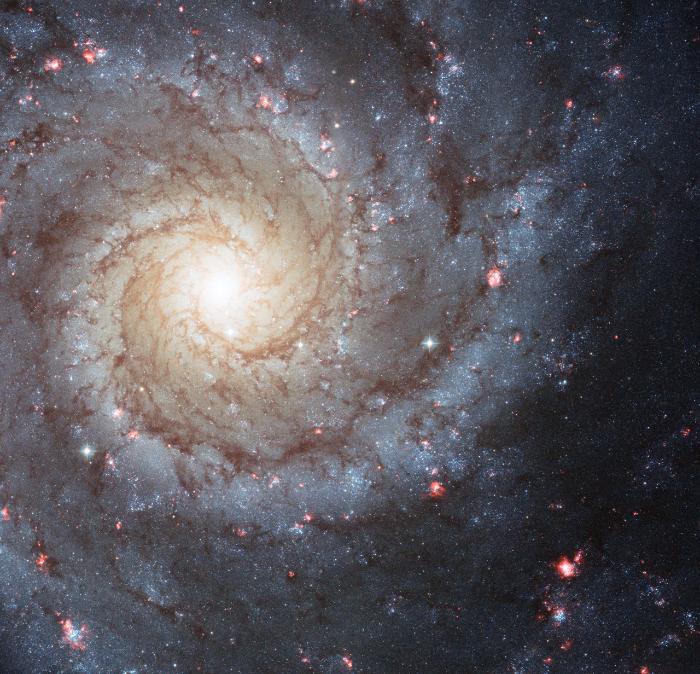 M74'ün Hubble tarafından 2007'de kaydedilen görüntüsü.