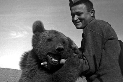 wojtek