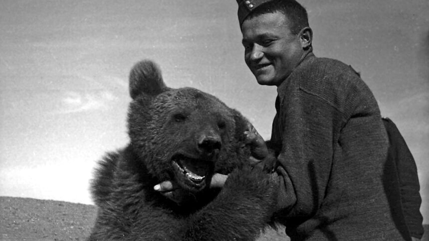 wojtek