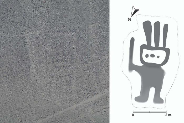 Yapay zeka yardımıyla tanımlanan bir Nazca çizimi.