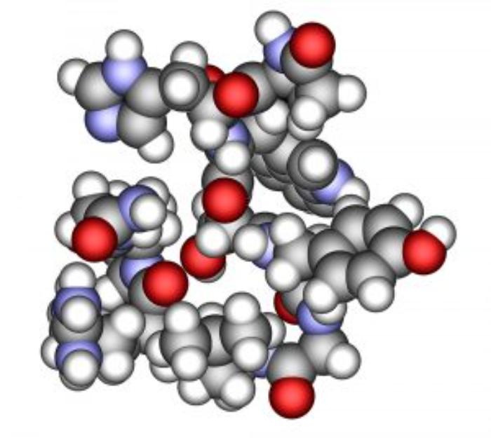Gonadotropin salgılatıcı hormon (GnRH)