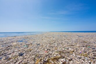 Great Pacific garbage patch