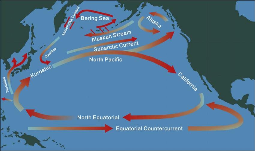 Kuzey Pasifik'teki okyanus akıntılarının yakınsama bölgesini gösteren çizim.  