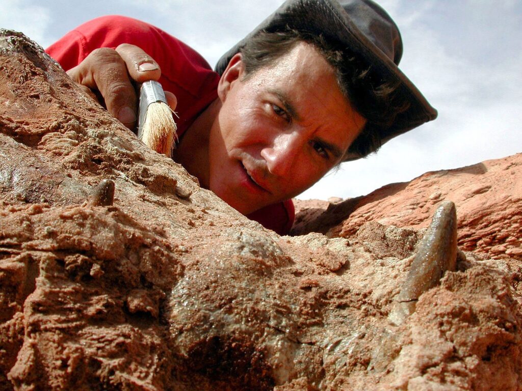 Paleontolog Paul Sereno iş başında.