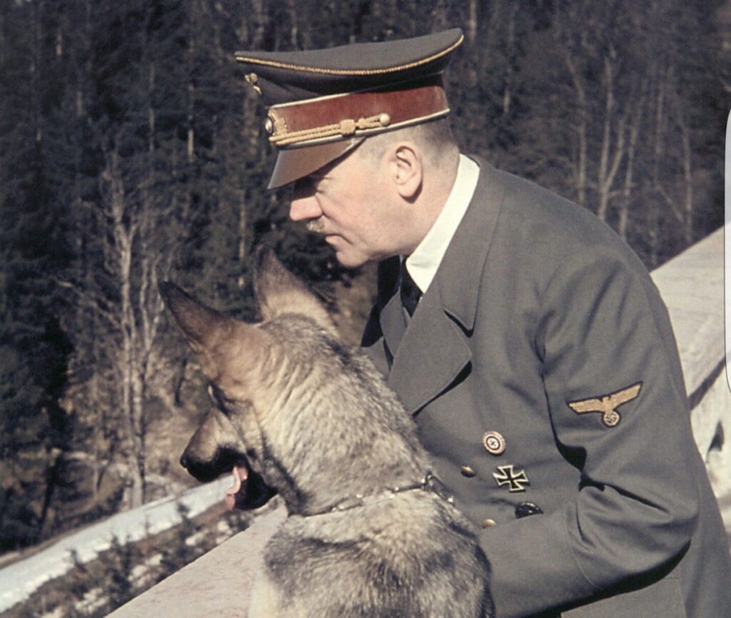 Adolf Hitler ve Alman çoban köpeği "Blondi" 