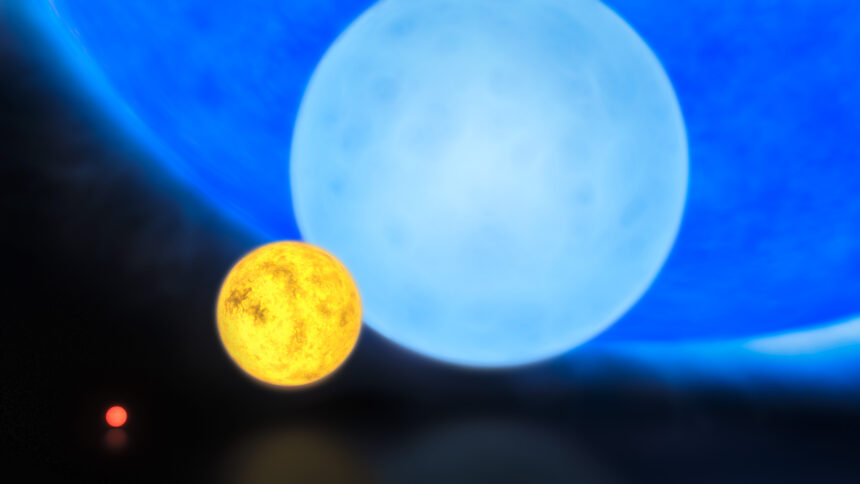 Comparison of the sizes of a red dwarf the Sun a B type main sequence star and R136a1