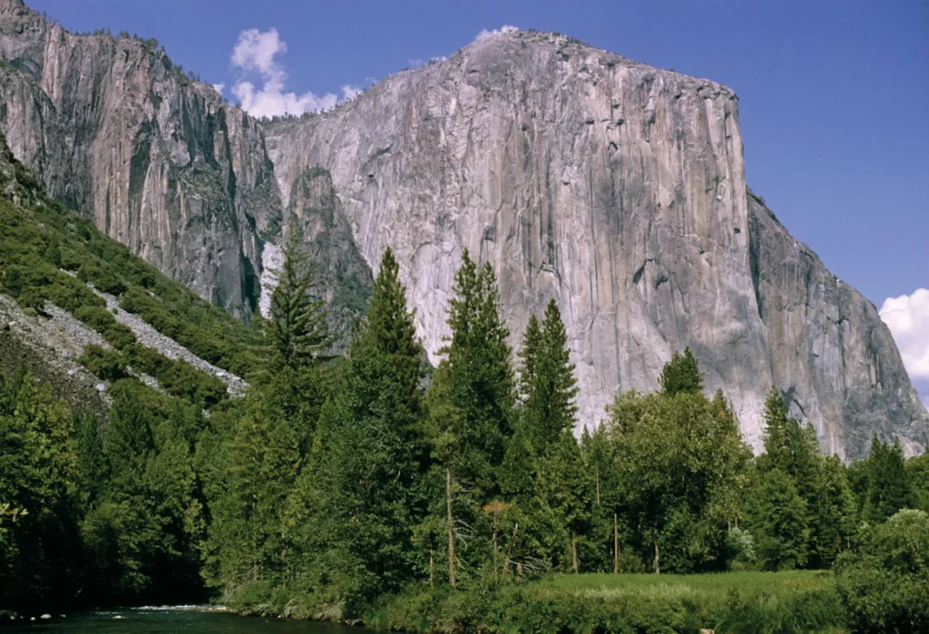 Yosemite Ulusal Parkı'ndaki El Capitan'ın sarp zirveleri.
