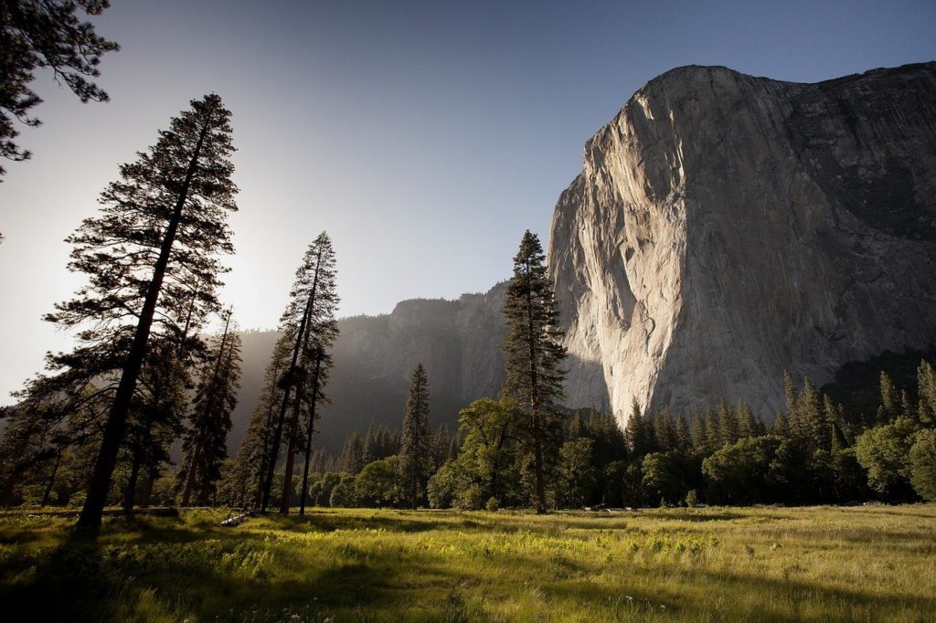 Yosemite Ulusal Parkı, el değmemiş vahşi doğanın geniş alanlarına sahiptir.
