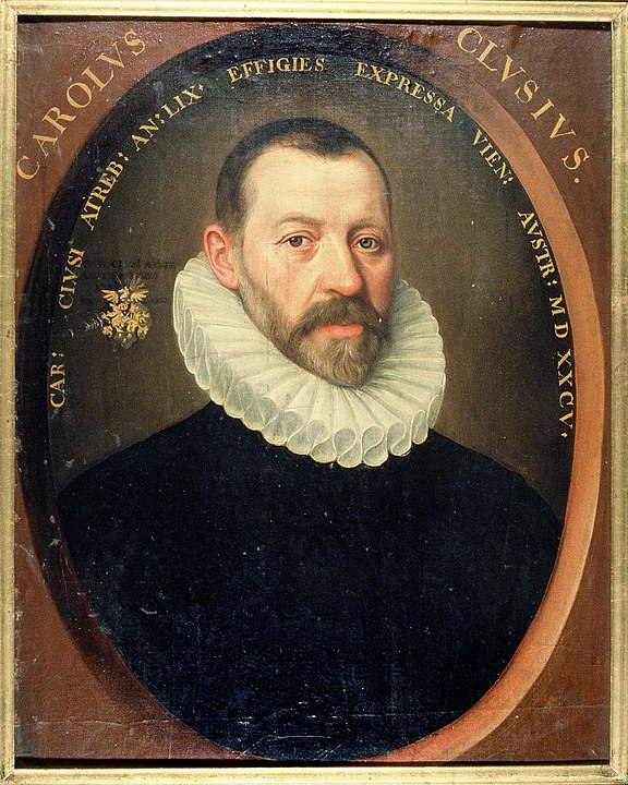 Carolus Clusius 1585