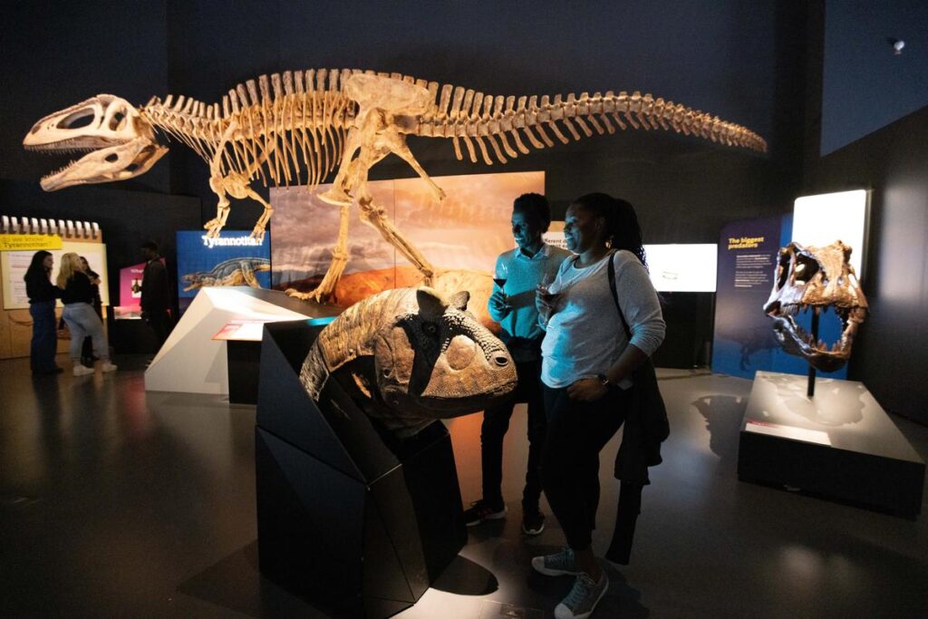 WA Boola Bardip Müzesi'nde sergilenen bir Patagotitan fosili, Avustralya
