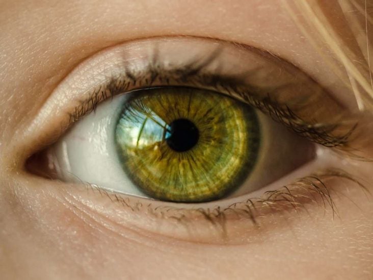 Yeşil gözler nüfusun %2'sinde görülür.