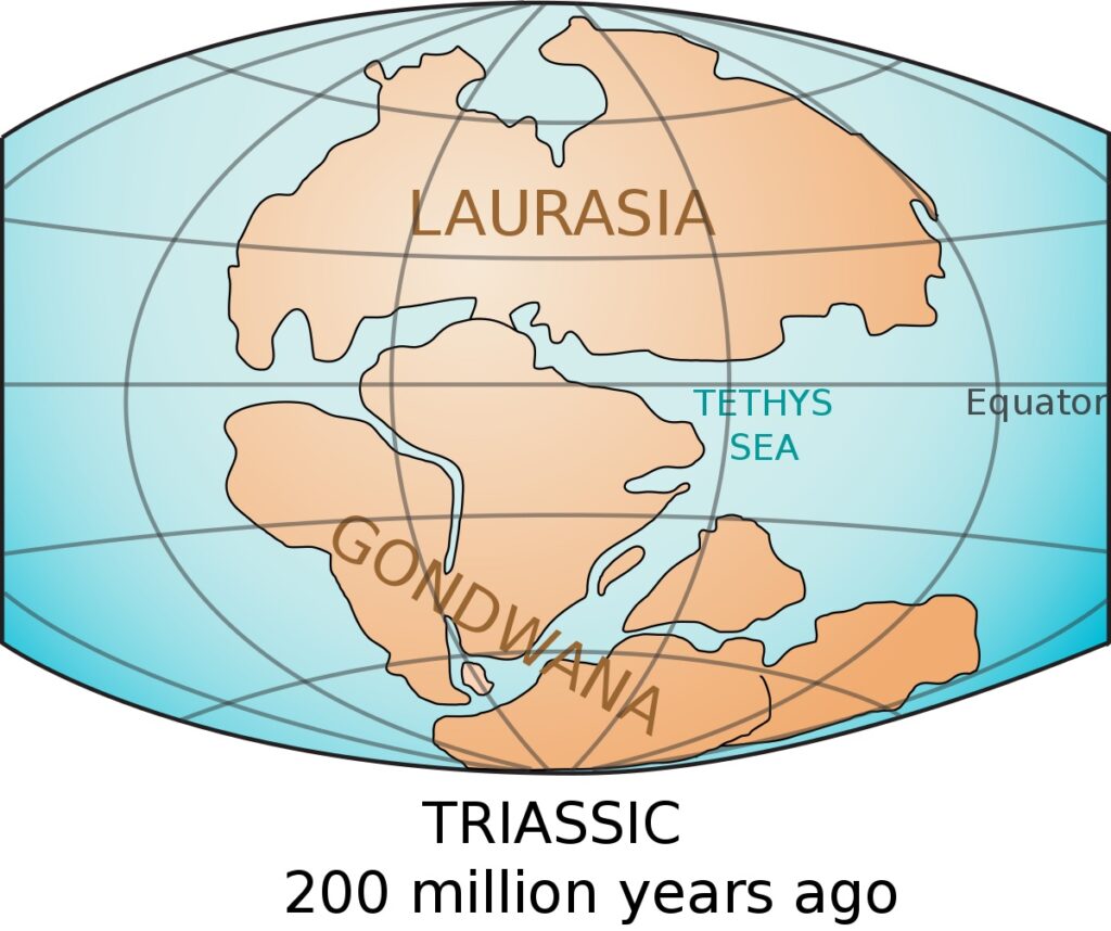 Tethys Okyanusu'nun oluşumunun ilk aşaması: (ilk) Tethys Denizi, Pangaea'yı Laurasia ve Gondwana olmak üzere iki süper kıtaya bölmeye başlar.
