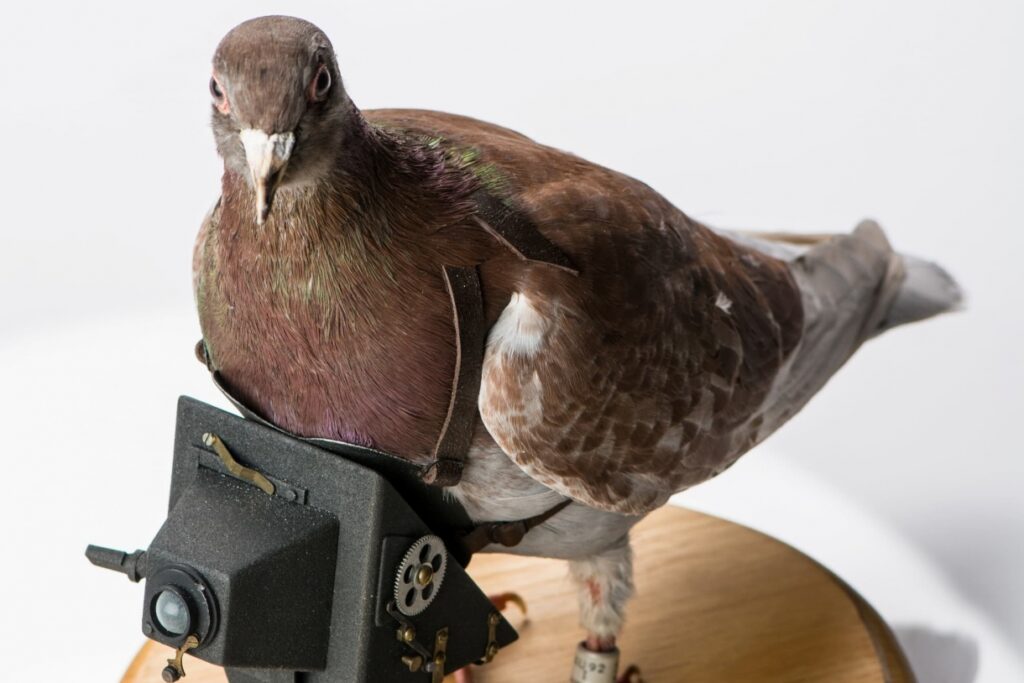 Güvercin Kamerası, Almanya, 1917-1918