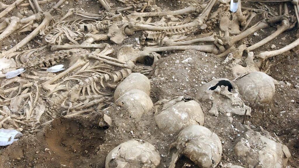 Dorset'te Ekim 2020'de başı kesilmiş 50 Danimarkalıya ait kemiklerin bulunduğu 1000 yıllık bir mezar,