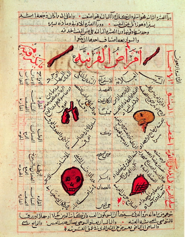 İbn-i Sina'nın (980-1037) El-Kanun fi't-Tıb (Canon medicinae) kitabından bir sayfa.