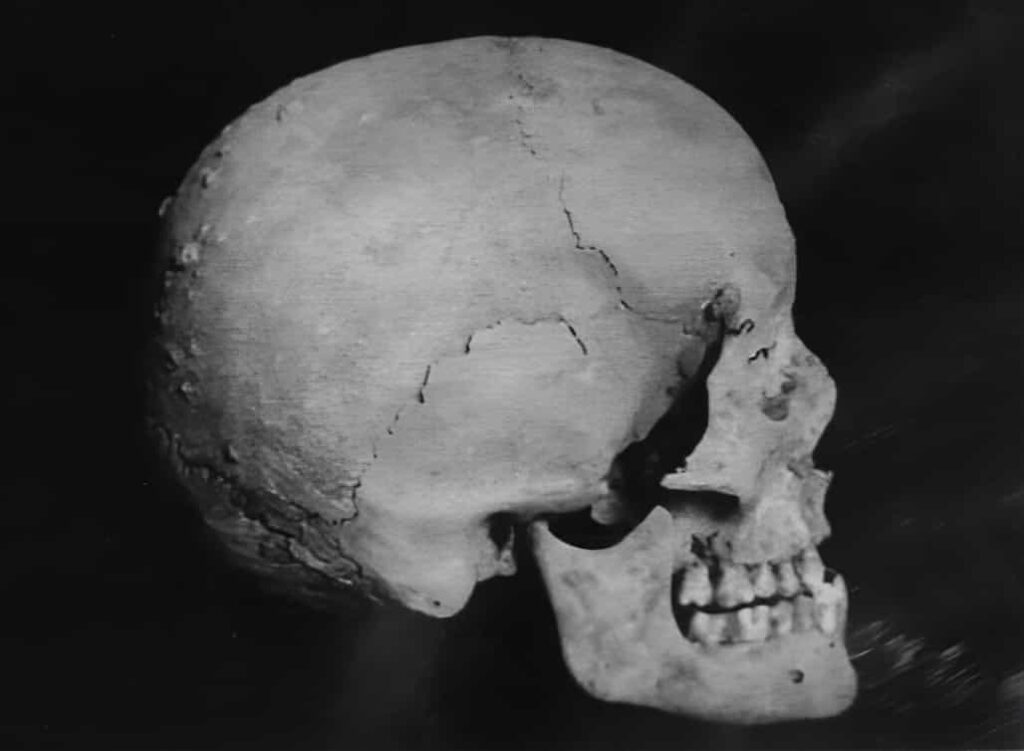 İbn-i Sina'nın kafatası, 1950 yılında yeni türbenin inşası sırasında bulundu
