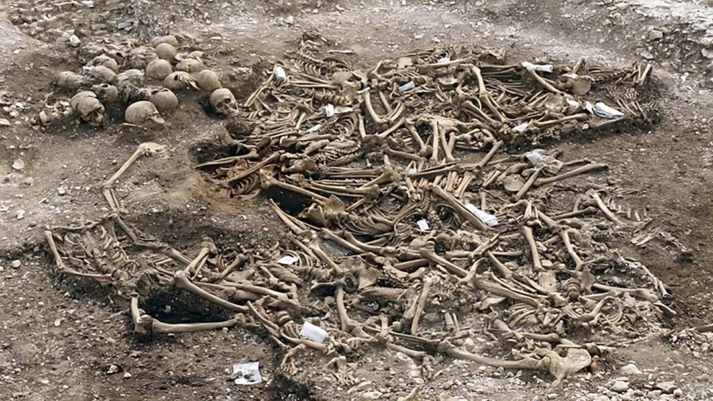 Dorset'te Ekim 2020'de başı kesilmiş 50 Danimarkalıya ait kemiklerin bulunduğu 1000 yıllık bir mezar,