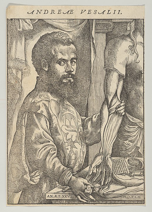 De Humani Corporis Fabrica'dan (1543) Andreas Vesalius'un bir portresi
