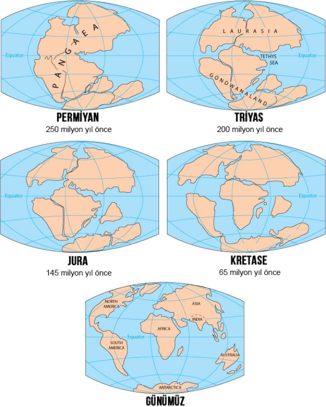 Kıtaların kayması, kıtaların hareket etmesine ve Dünya'nın yüzünün tarih boyunca farklı zamanlarda çok farklı görünmesine neden olmuştur.