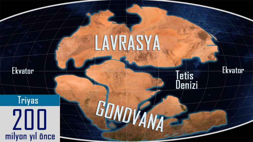 Başlangıçta kıtalar iki grup halindeydi; güney Gondvana ve kuzey Lavrasya.