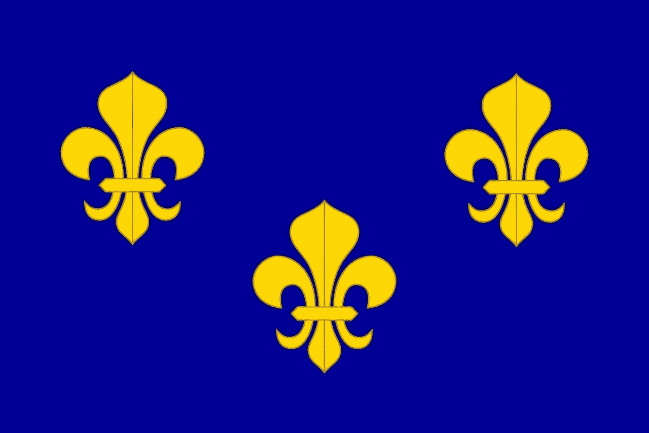 yeni fransa bayrağı