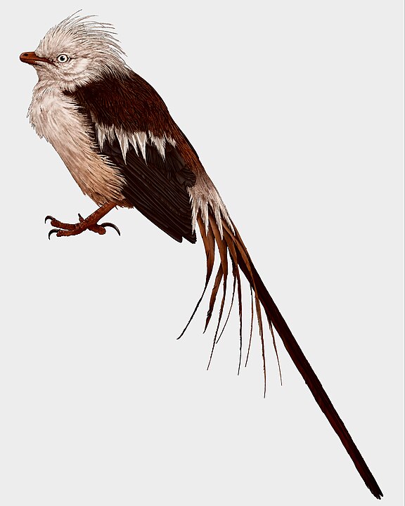 Feitianius, Enantiornithes'e ait, günümüz Çin'inin Erken Kretase'sinden soyu tükenmiş bir kuş cinsidir.