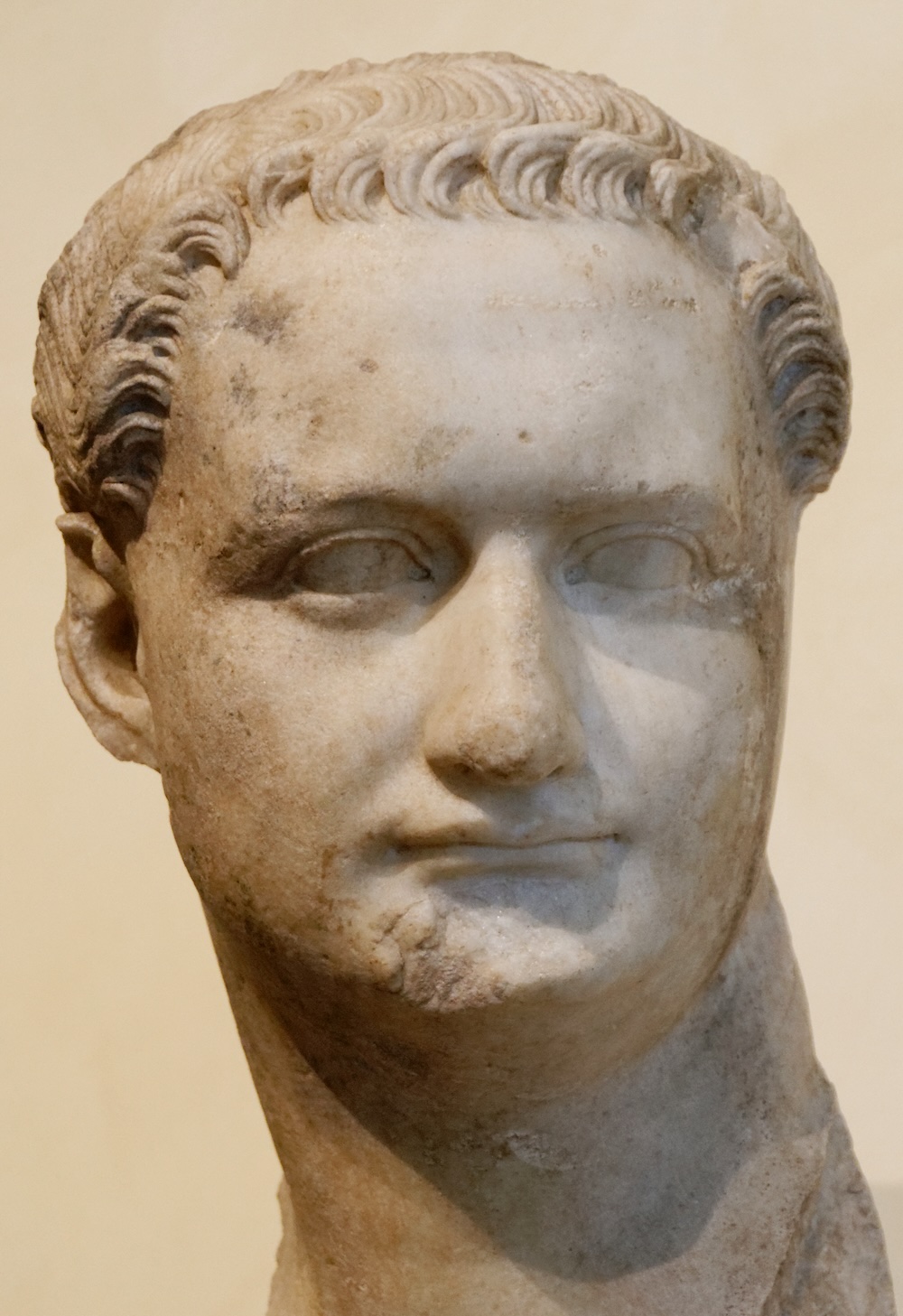 Domitian'ın Büstü, Capitoline Müzeleri, Roma. Roma Senatosu, MS 96 yılında onun hatırasını resmen mahkum etmiştir. 