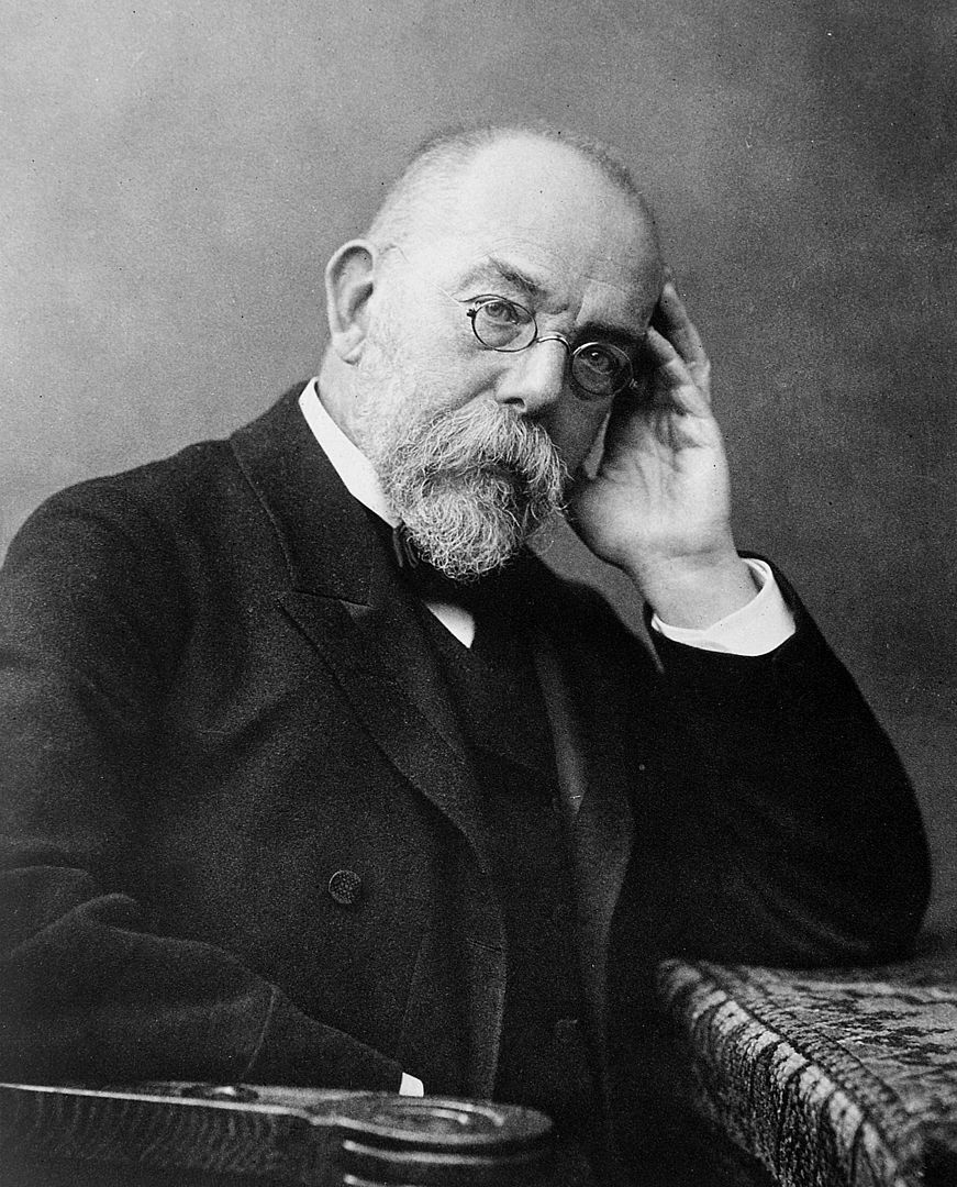 Robert Koch (1900 civarı)