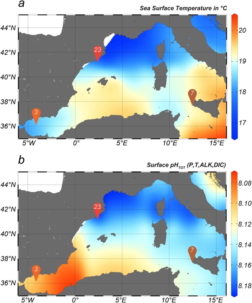 batı Akdeniz havzasındaki 3 çalışma noktasında deniz yüzeyi sıcaklığı (SST) ve yüzey pH