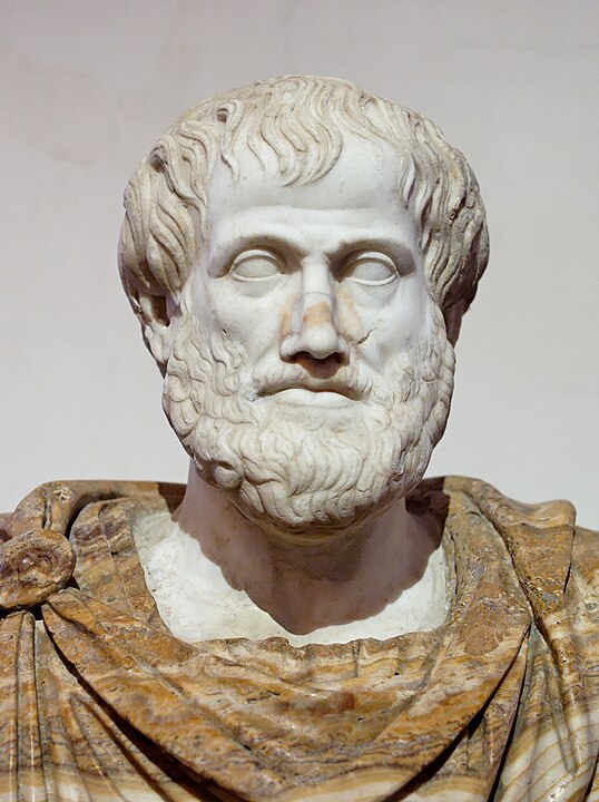Aristoteles'in büstü. Mermer, Lysippos'un MÖ 330 tarihli bronz Yunan orijinalinden Roma kopyası; kaymaktaşı manto modern bir eklemedir.
