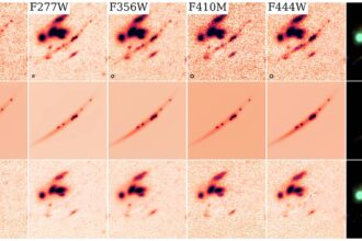 Firefly Sparkle in 11 JWST/NIRCam and NIRISS