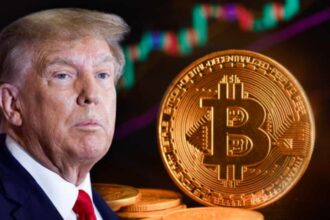 donald trump bitcoin