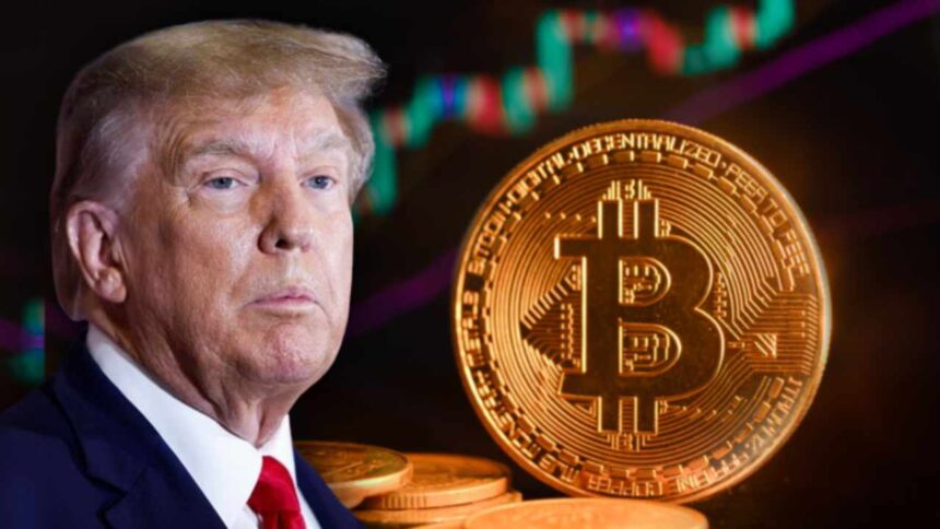 donald trump bitcoin