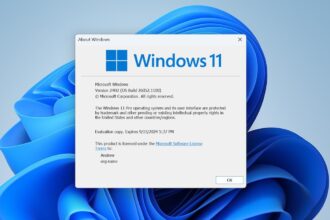 Windows 11 24H2