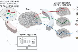 Nano-MIND teknolojisine genel bakış