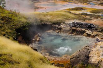 Yellowstone Ulusal Parkı'nın hidrotermal bölgesinde yaşayan küçük organizmalar