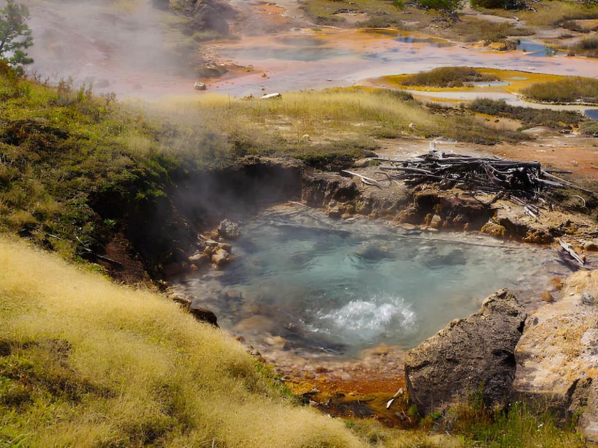 Yellowstone Ulusal Parkı'nın hidrotermal bölgesinde yaşayan küçük organizmalar