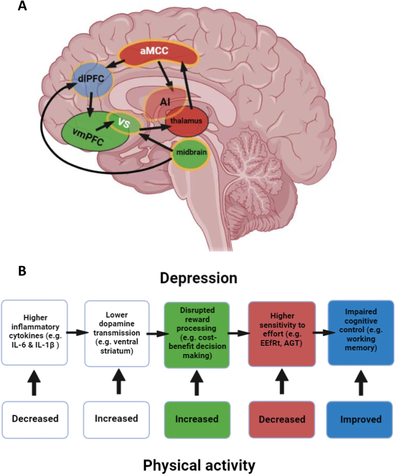 egzersiz depresyon antidepresan