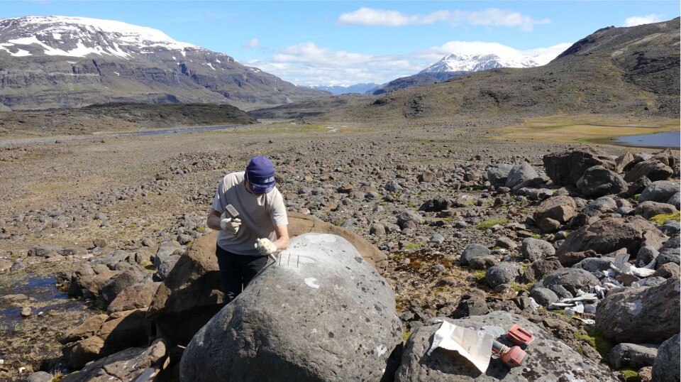 2019'da Kerguelen'de saha çalışması