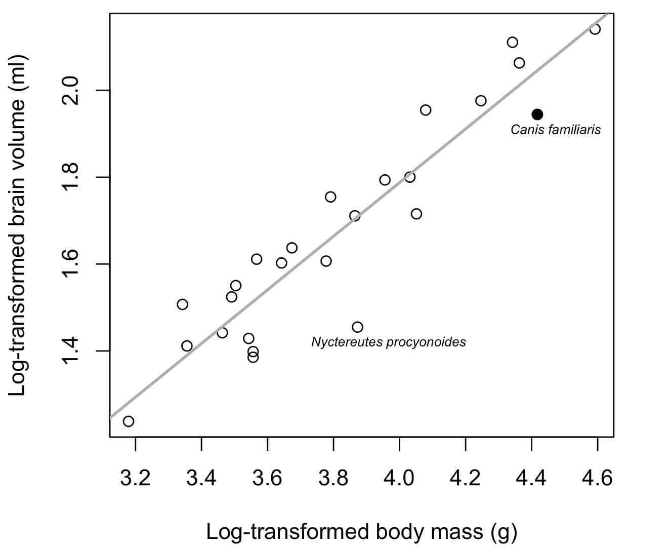 Köpekgillerde beyin ve vücut büyüklüğü arasındaki allometrik ilişki.
