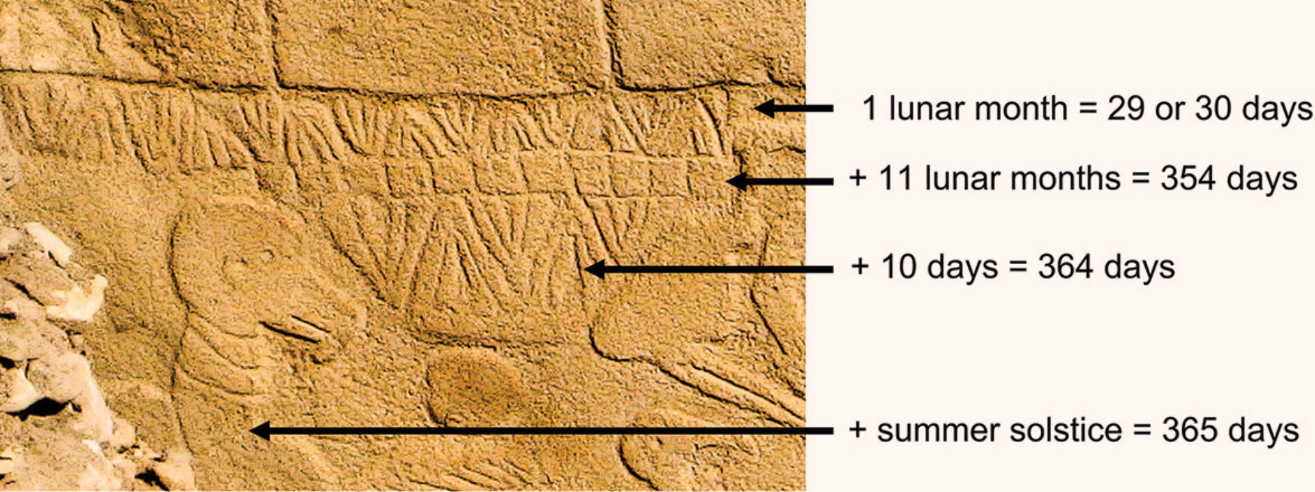 Göbekli Tepe'deki 43. Sütunun merkezinden detay