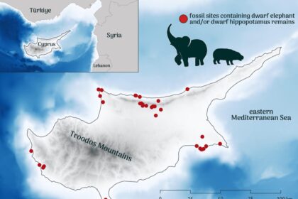 Cüce fillerin ve su aygırlarının çıkarıldığı fosil alanları