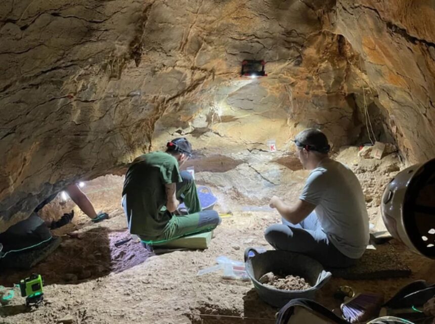 Homo sapiens'in Cova dels Tritons'daki varlığı