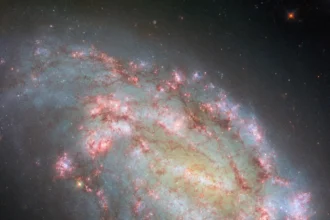 NGC 1559