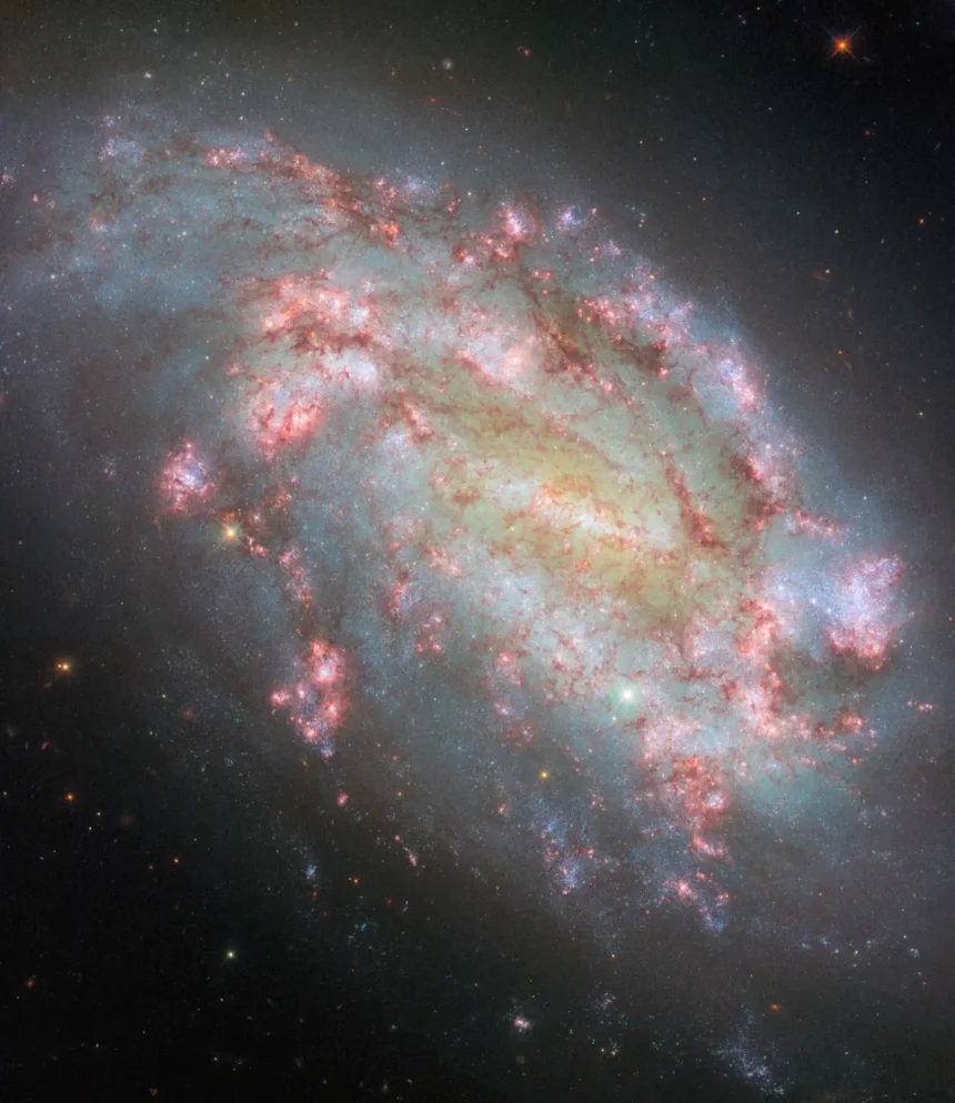 NGC 1559